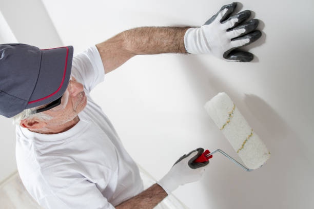Best Mold Odor Removal Services  in Whiteriver, AZ