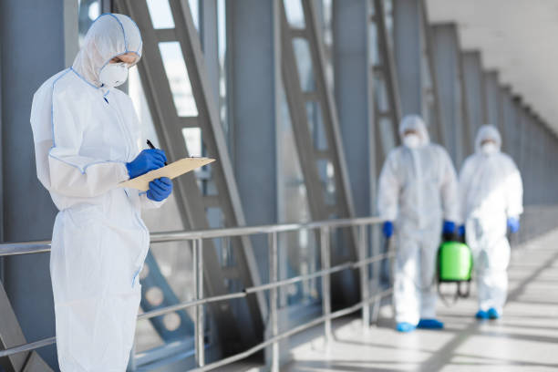 Best Mold Remediation for Vacation Homes  in Whiteriver, AZ