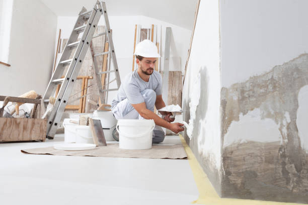 Best Mold-Related Health Consultation  in Whiteriver, AZ