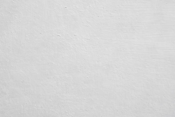 Mold Remediation for Vacation Homes in Whiteriver, AZ